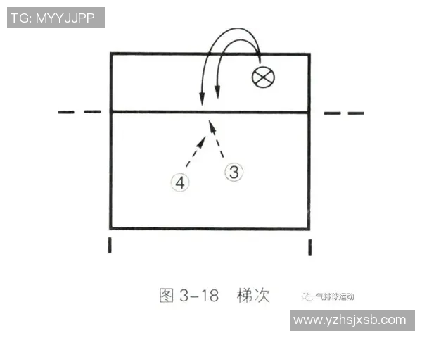 成都排球队进攻体系解析与排球战术创新研究