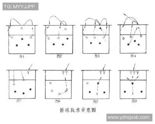 武汉排球队在世界锦标赛中的灵活性表现及其战术分析