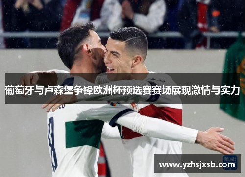 葡萄牙与卢森堡争锋欧洲杯预选赛赛场展现激情与实力